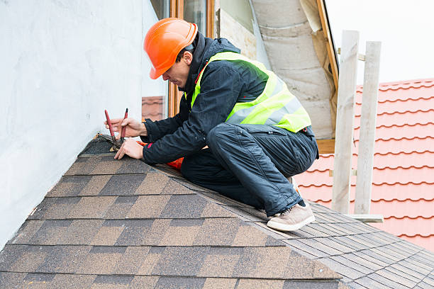 Best Roof Gutter Cleaning  in Liolnton, NC